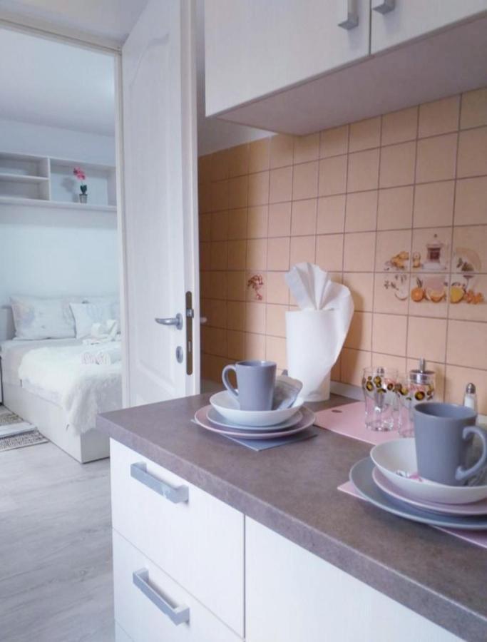Epic Apartment Temeşvar Dış mekan fotoğraf